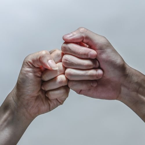 Parcerias Estratégicas entre Empresas Locais e Administradores: Modelos de Cooperação que Geram Resultados